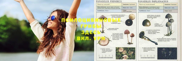 таблы Дмитриев
